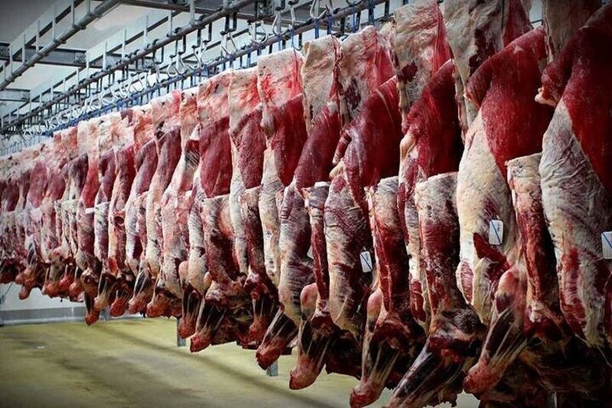 جهش افسارگسیخته قیمت گوشت در بازار