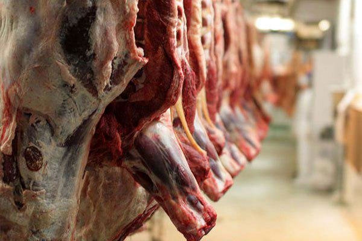 افزایش قیمت گوشت در بازار   دام هم گران است هم کم!