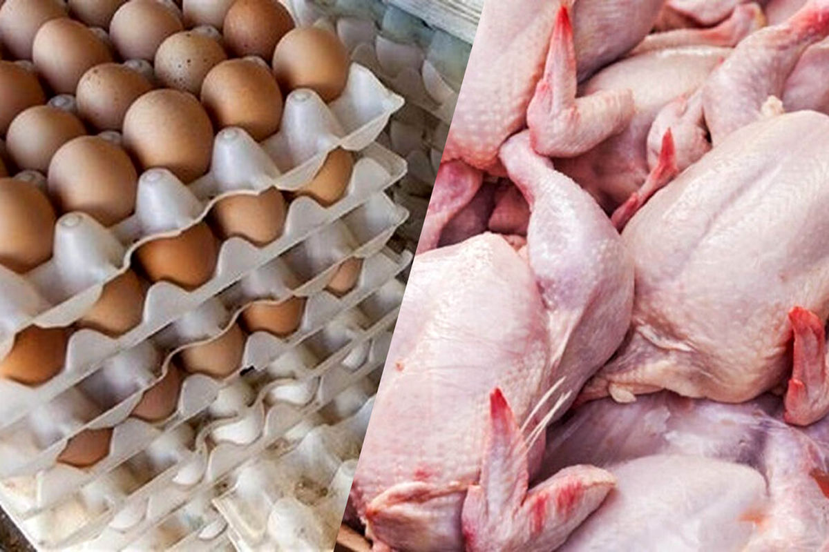 خبر خوش | قیمت مرغ و تخم مرغ در میادین میوه و تره بار کاهش یافت