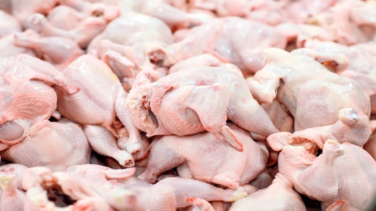 وضعیت گوشت مرغ در ایام پیک مصرف چگونه است؟