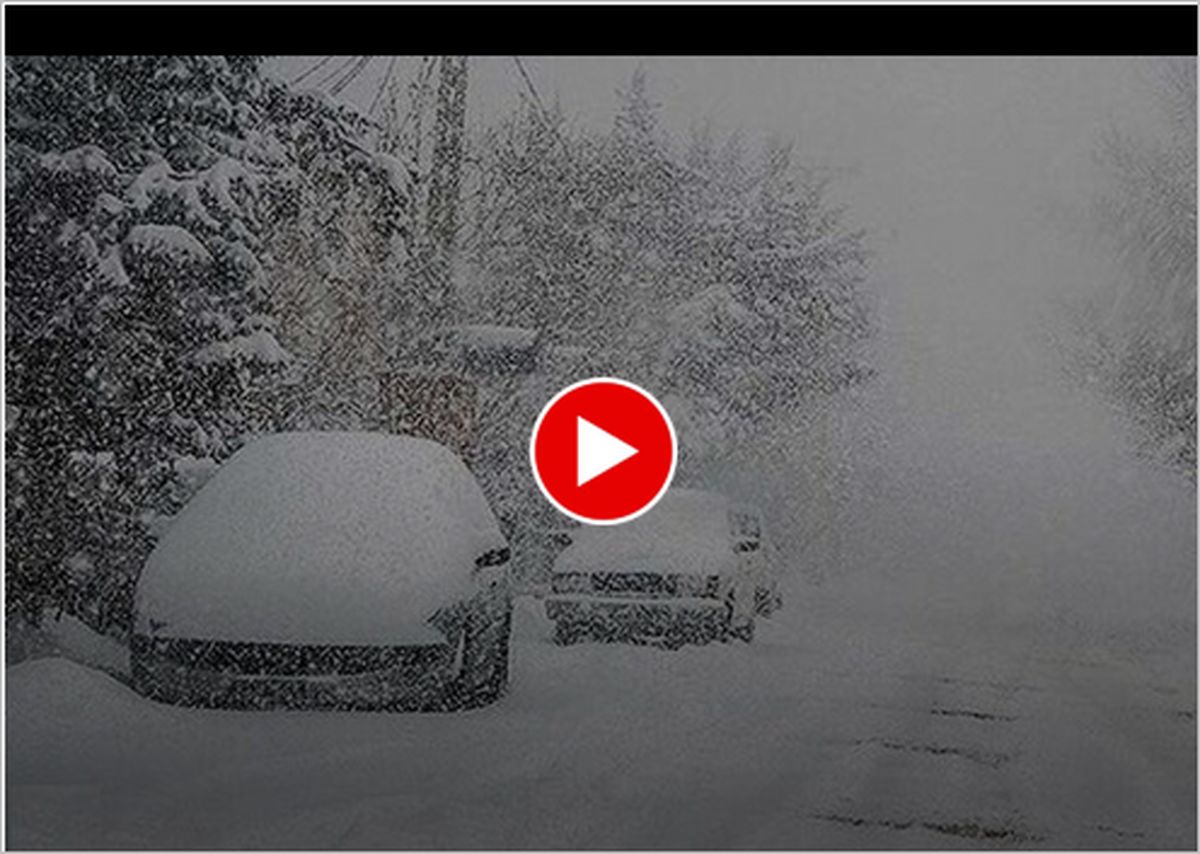 ببینید | سفیدپوش شدن تهران با برف زمستانی در ساعات اولیه صبح