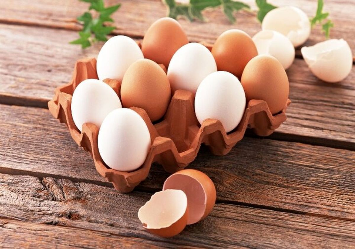 جدیدترین قیمت تخم‌مرغ اعلام شد | شانه‌ای چند ؟