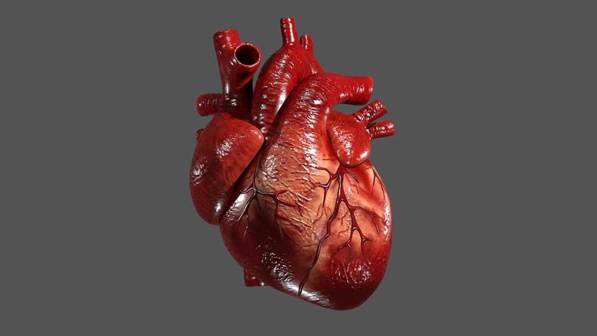 علایم نارسایی قلبی به روایت تصویر + عکس