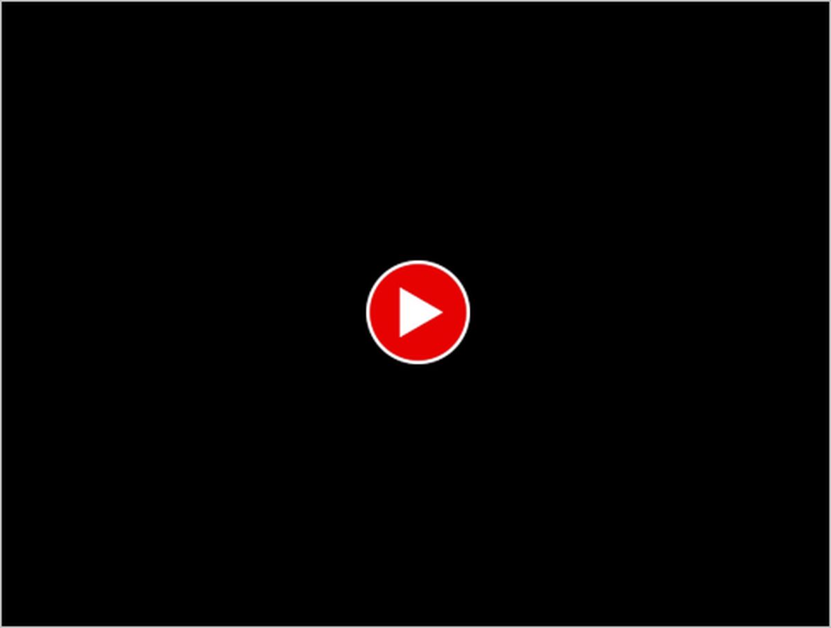 ببینید | توپ بازی قایقران با نهنگ غول پیکر !