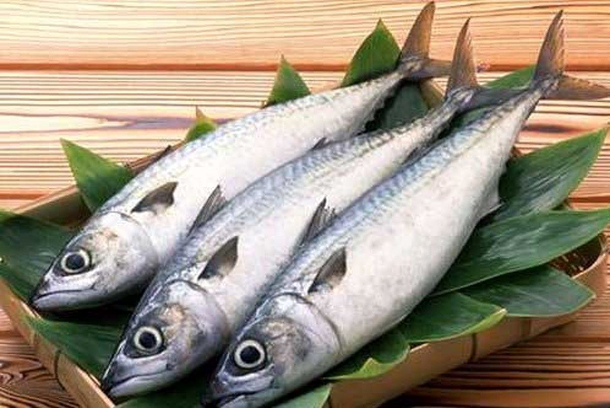 مصرف روزانه ماهی ابتلا به کدام بیماری را کاهش می‌دهد ؟