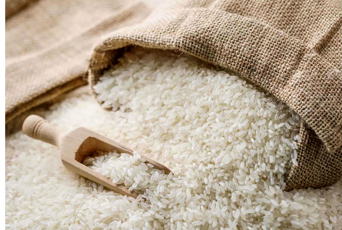 قیمت برنج ایرانی و خارجی ؛ چرا برنج گران شد ؟