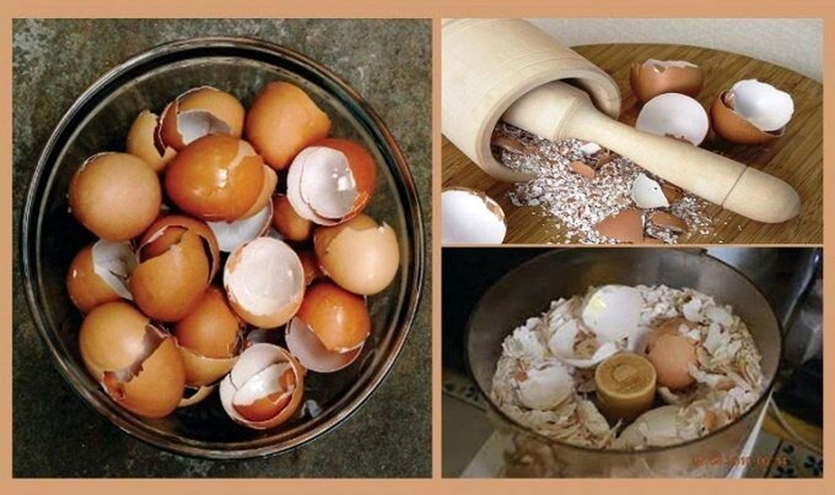 با خواص پوست تخم مرغ آشنا شوید