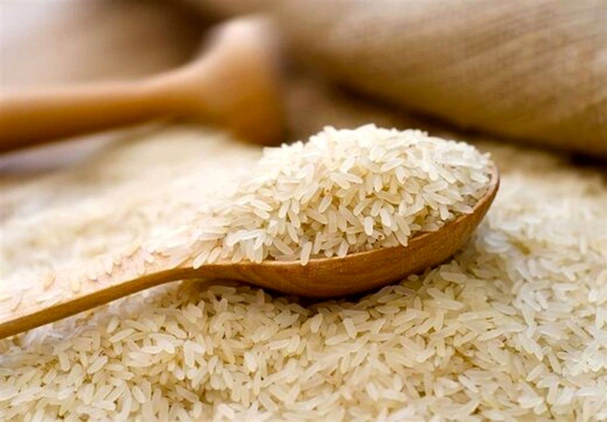 برنج چرا دوباره گران شد ؟