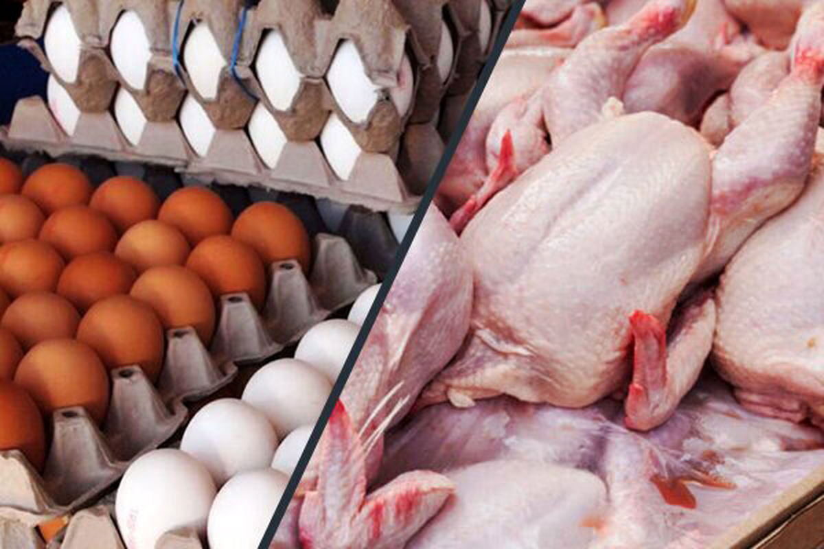 هر کیلو مرغ و تخم مرغ در بازار چند؟