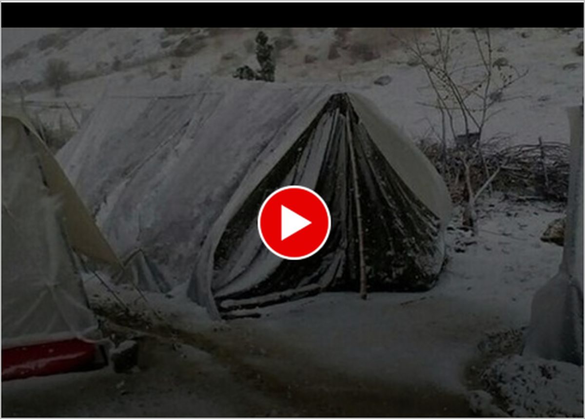 ببینید | مادر و پسر زلزله‌زده داخل چادر جان باختند