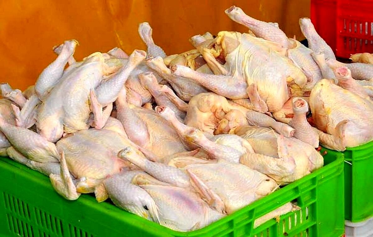 قیمت مرغ تازه در میادین و بازارها اعلام شد + جزئیات