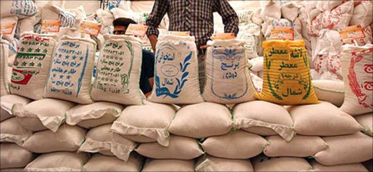 شوک دولت قیمت برنج را افزایش داد