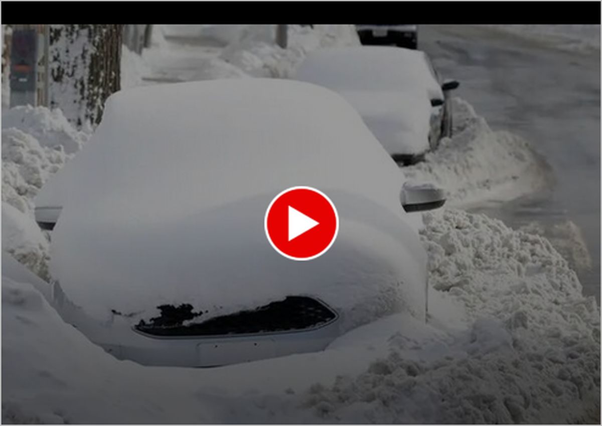ببینید | در کانادا چگونه برف‌ها را از روی ماشین پاک می‌کنند ؟