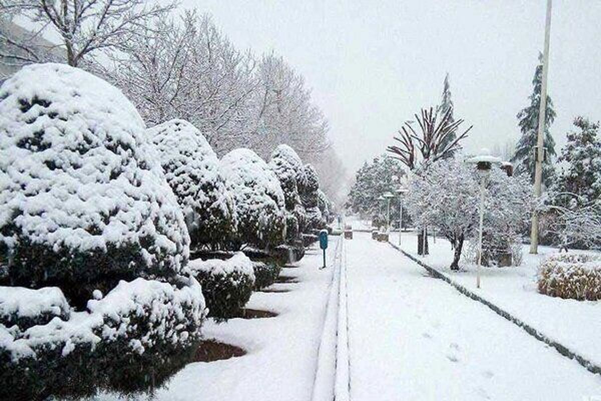 تعطیلی مدارس در روز دوشنبه ۲۴ بهمن داد مجری معروف تلویزیون را هم در اورد!