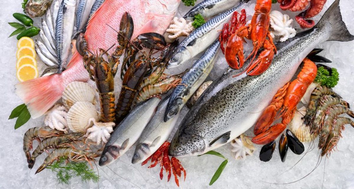 ماهی و میگو غذاهای اعیانی و پولداری شدند!   گرانی سرسام‌آور غذاهای دریایی
