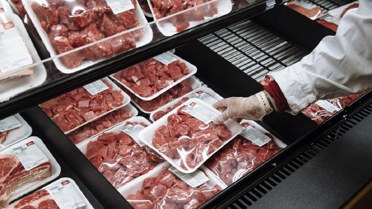 زمان توزیع گوشت گرم وارداتی گوسفندی و گوساله در میادین اعلام شد