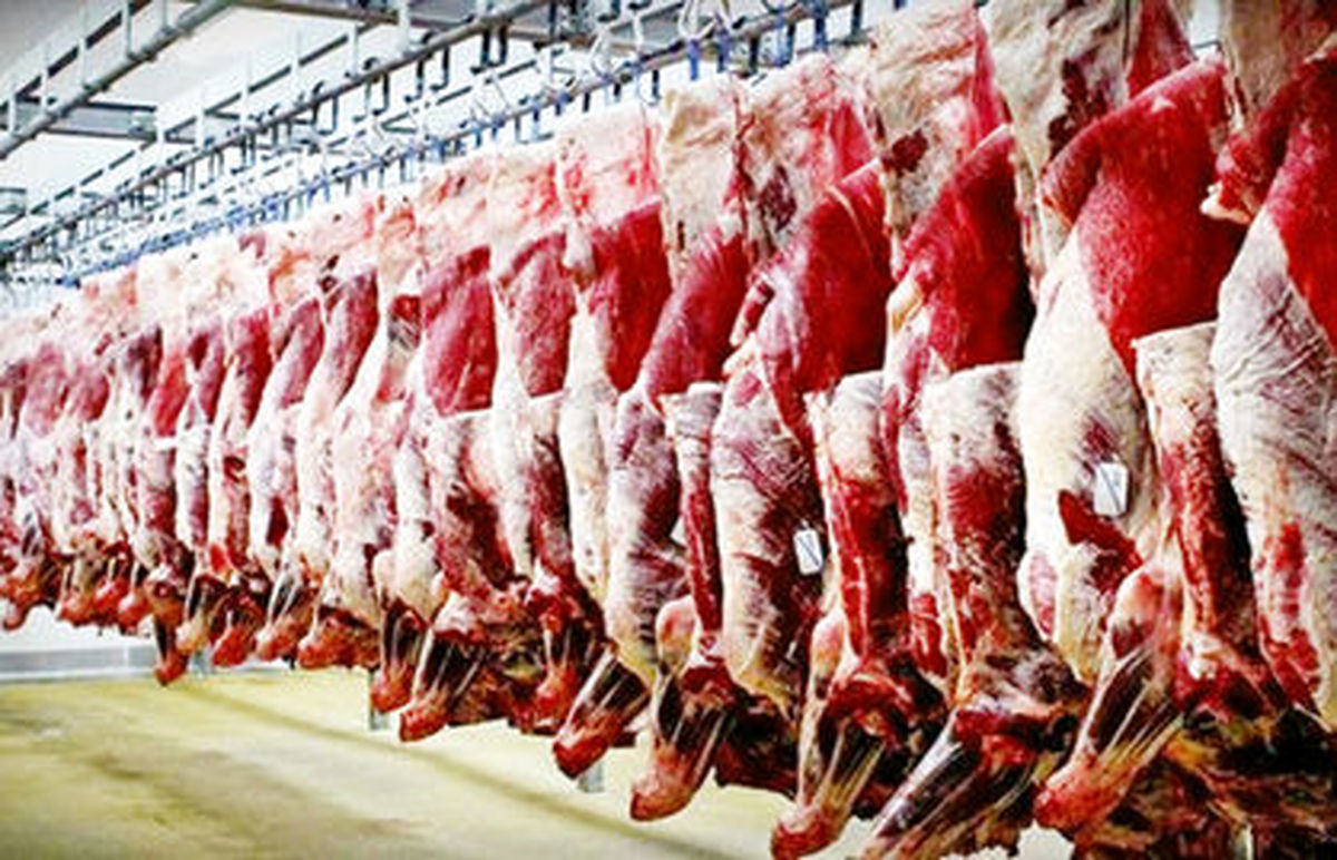 اعلام قیمت گوشت شقه گوسفندی در میادین میوه‌و‌تره‌بار