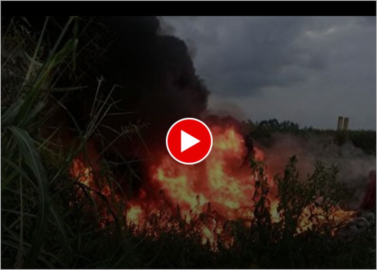 ویدیو | آتش‌سوزی ترسناک در نیزارهای زرینه‌رود