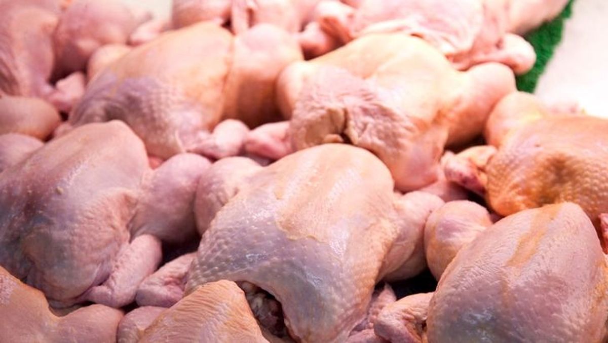 آماده افزایش قیمت مرغ باشید