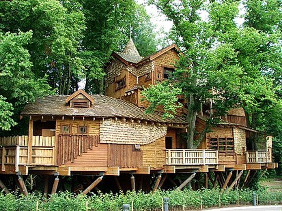 تصویر جالب خانه‌ای که از ۱۵۰ درخت ساخته شد