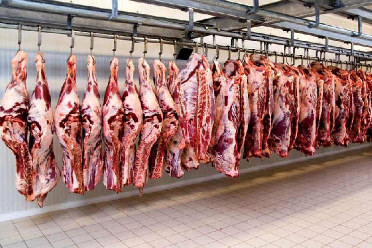 کاهش قیمت دام و افزایش نرخ گوشت!