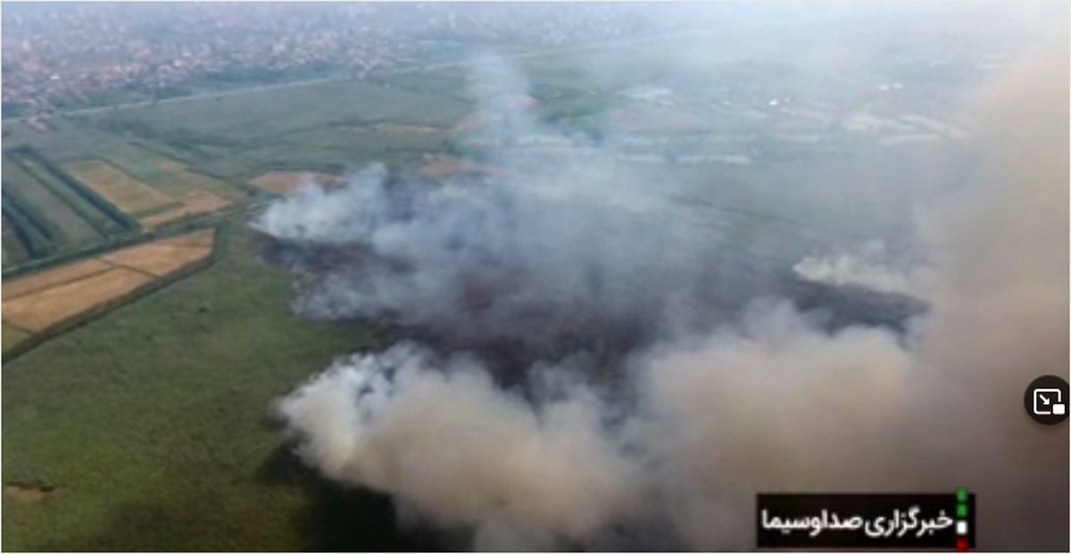 آتش‌سوزی در تالاب انزلی دود شهر را گرفت!+فیلم