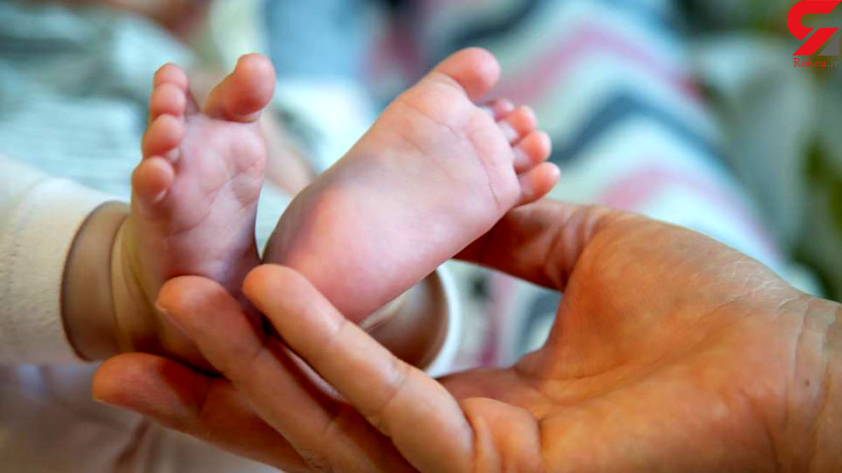 پیدا شدن نوزاد سه ماهه میان شمشادها در جنت‌آباد تهران