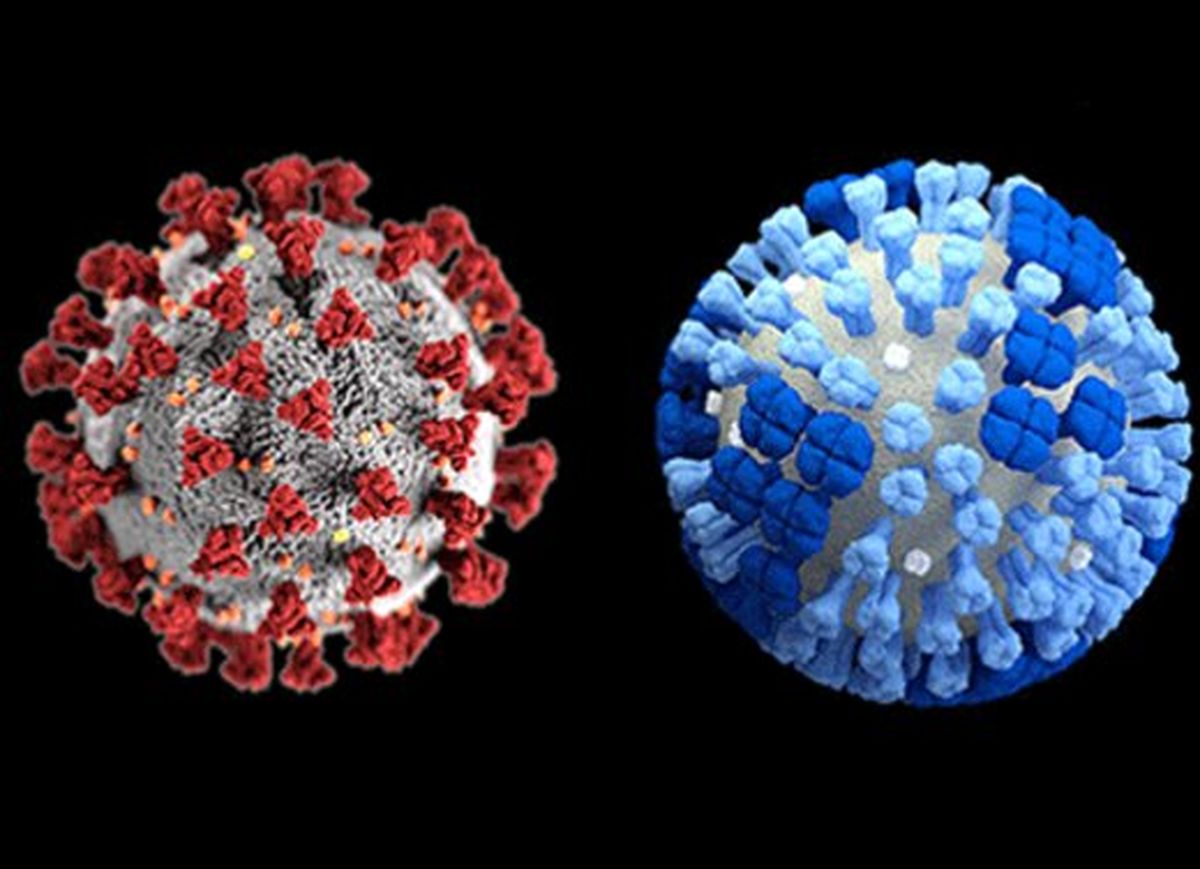 تفاوت کووید-۱۹ و آنفلوآنزا چیست؟