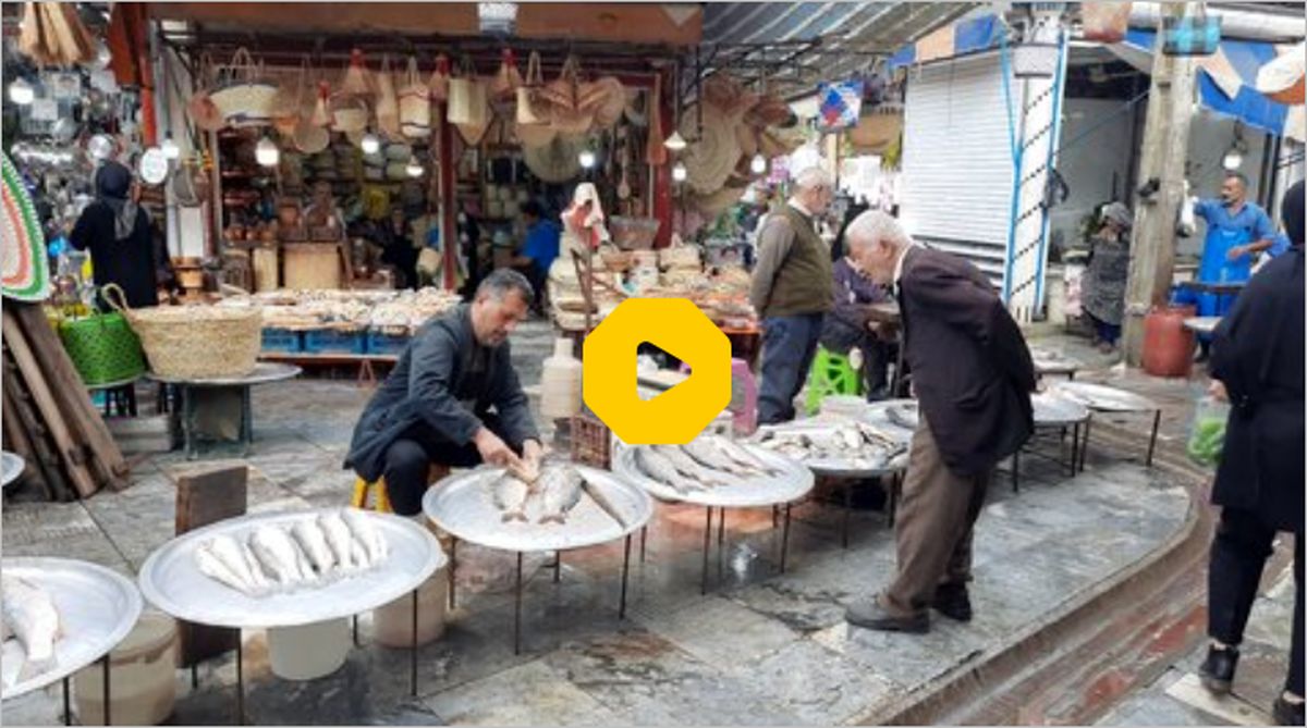 ببینید | سفر به لنگرود و گشتی در بازار ماهی‌فروشان معروفش