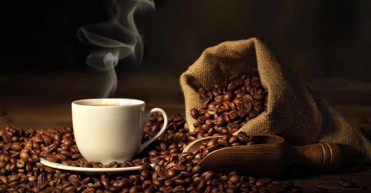 ۱۰ فایده قهوه برای سلامتی بدن