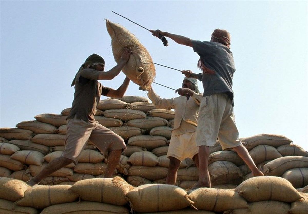 ممنوعیت واردات برنج و چای از هند