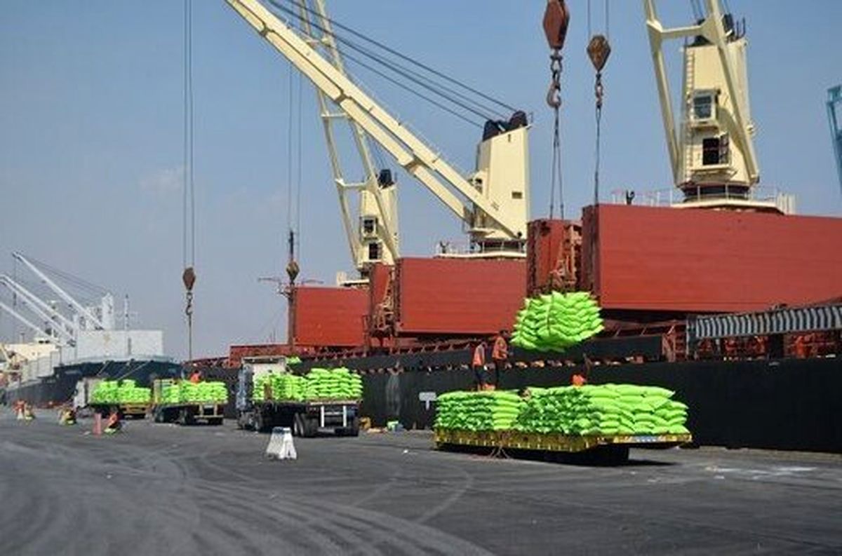 مشتری های عربی و اروپایی چشم‌انتظار برنج ایرانی | دروازه صادرات باز شد