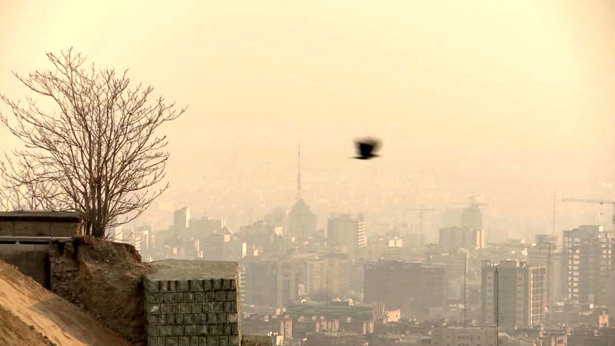 چرا آلودگی هوای هفته آینده تهران اعلام نمی شود ؟
