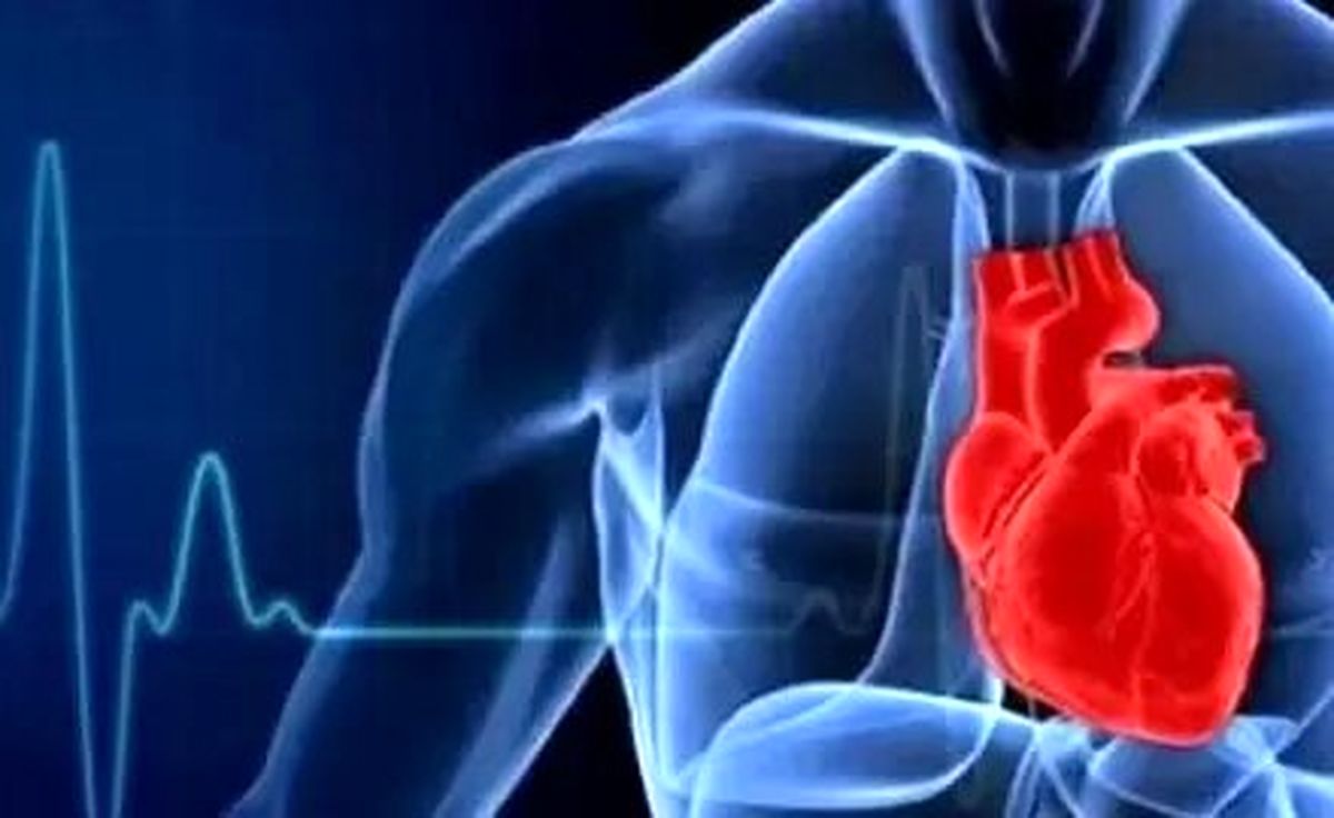 کدام پروتئین به بیماری قلبی در بدن منجر می‌شود ؟