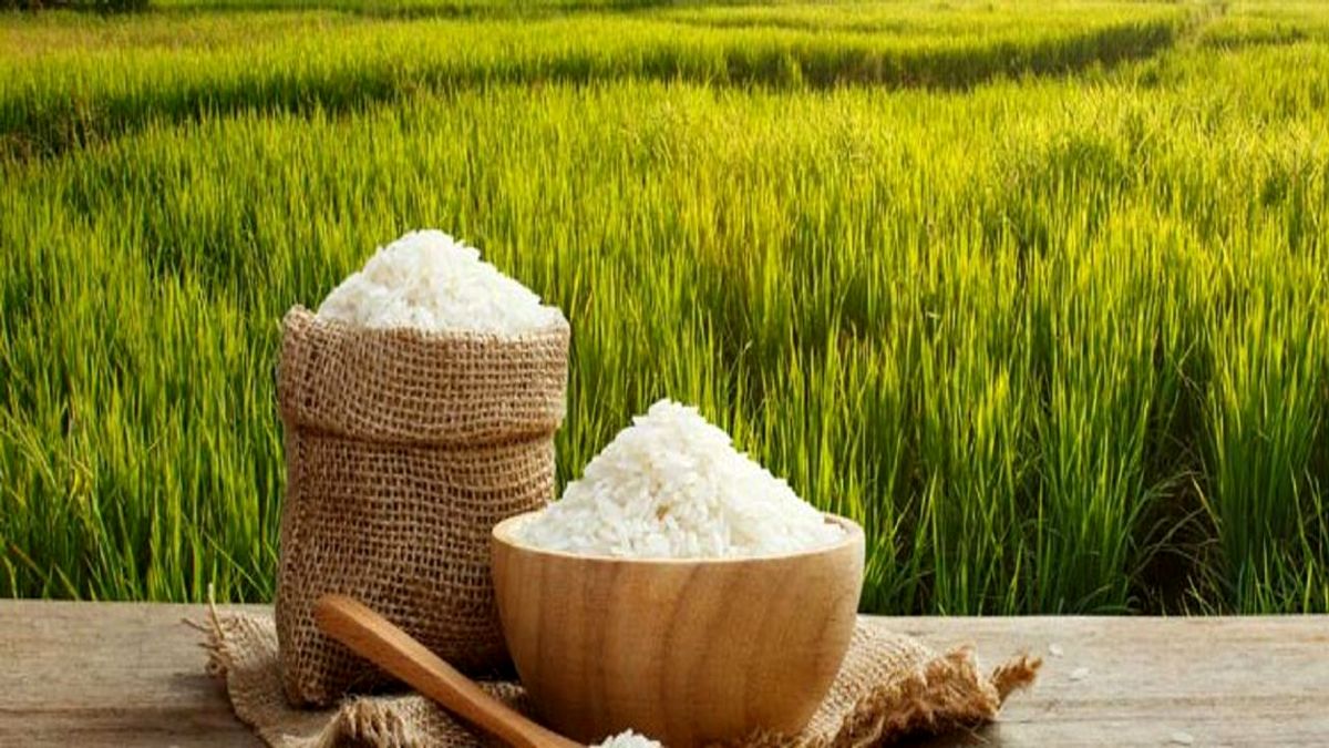 قیمت برنج کماکان در حال افزایش