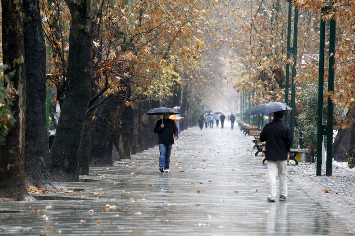 فردا روز بارانی تهران