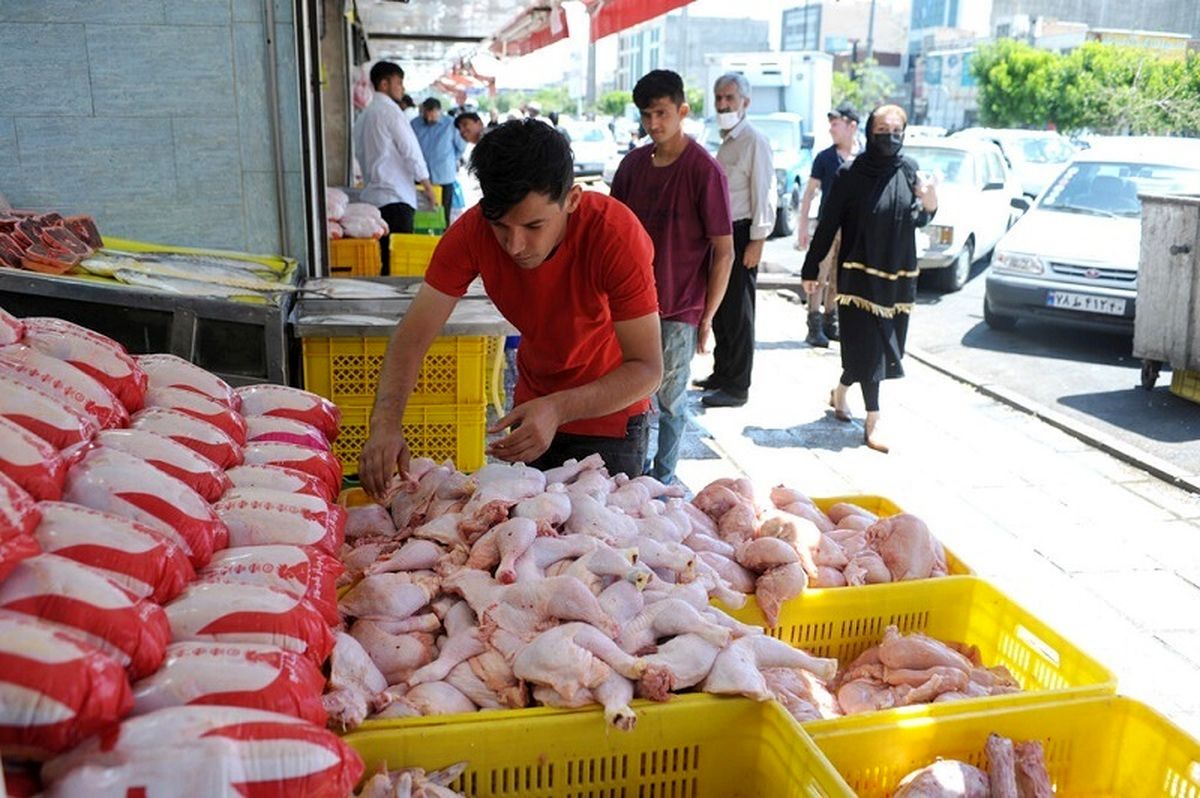 قیمت مرغ سر به فلک کشید | مغازه داران مرغ خریداری نمی‌کنند + جزییات