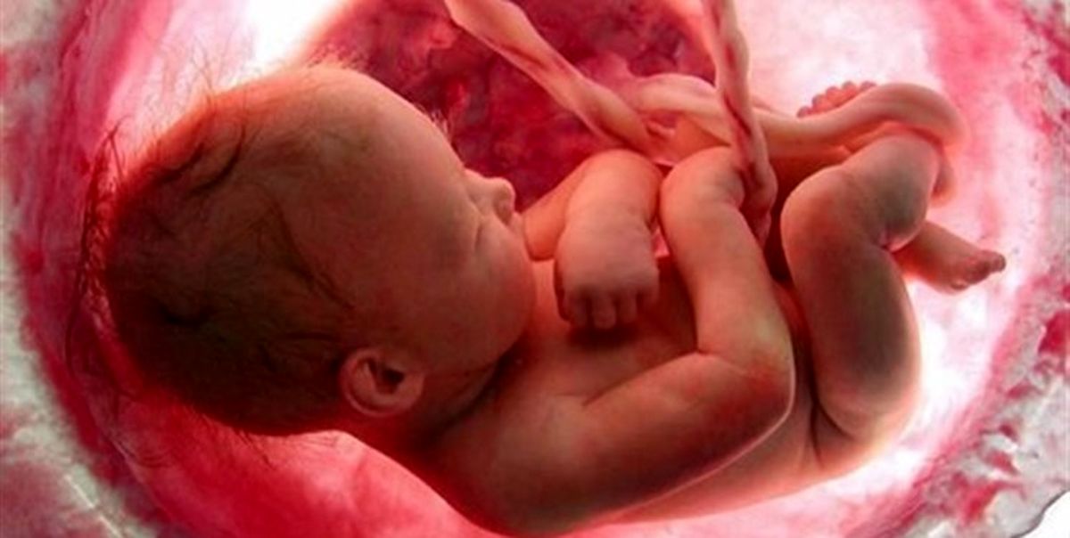 خبر ناگوار درباره سقط جنین‌های غیرقانونی در خانه‌