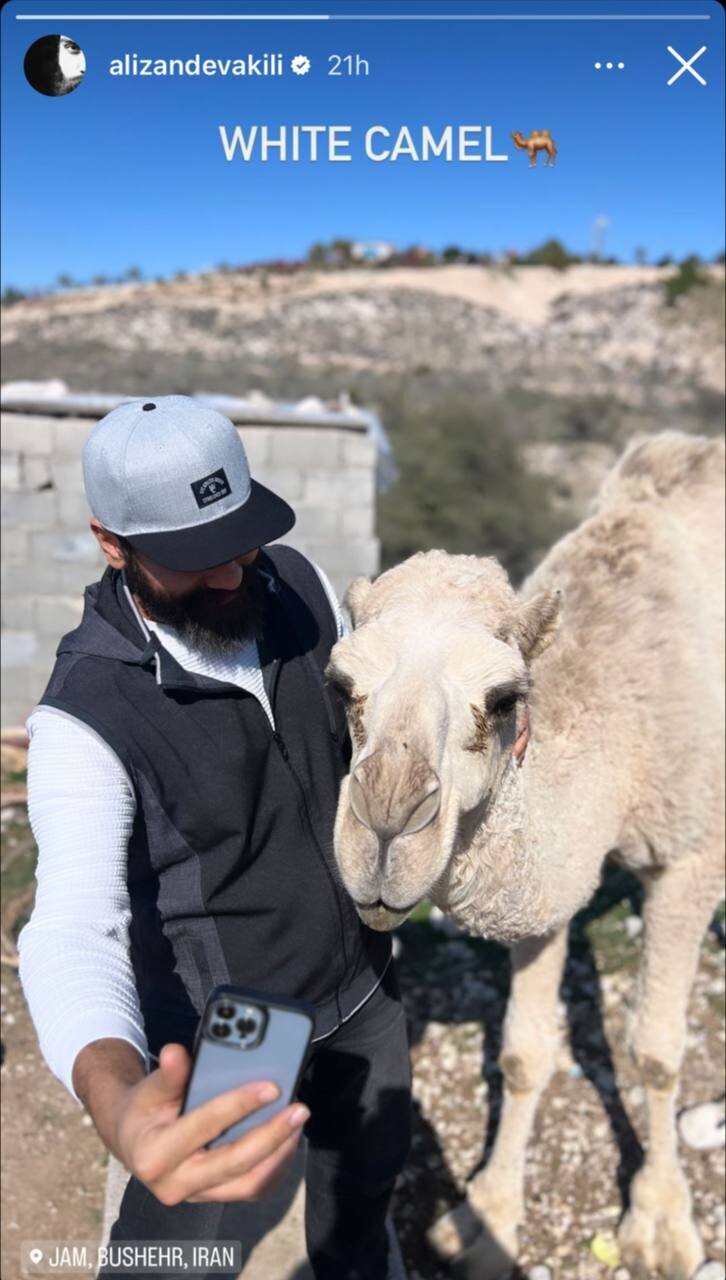 عکس | سلفی خواننده معروف با یک شتر !