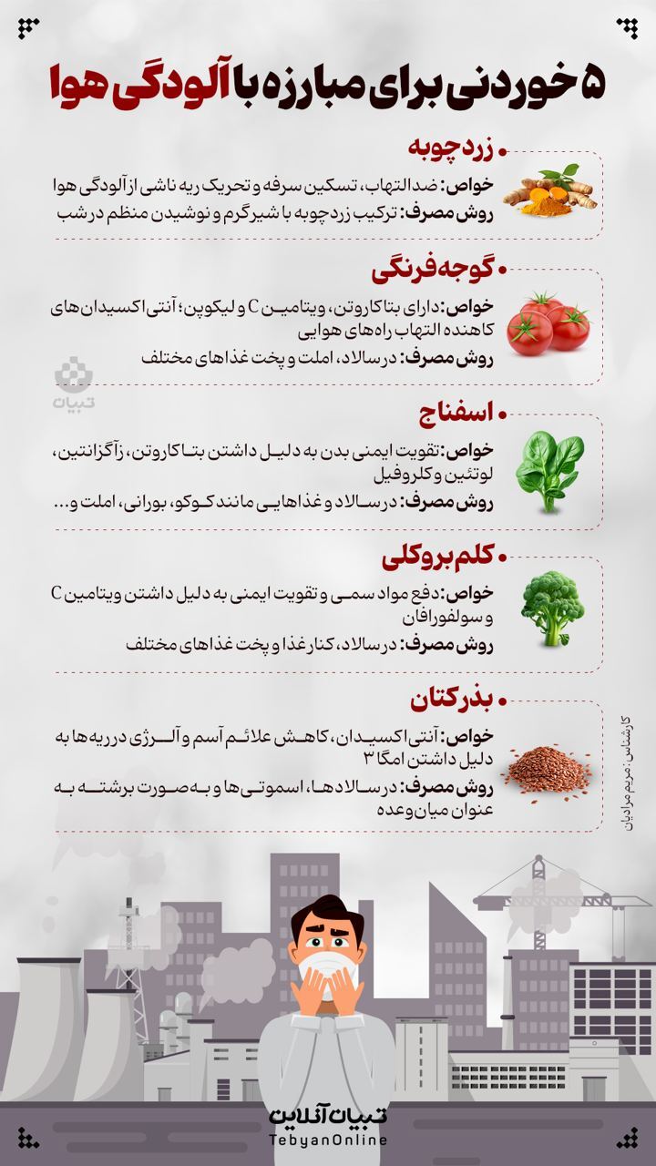اینفوگرافیک | ۵ خوردنی برای مبارزه با آلودگی هوا اینفوگرافیک | ۵ خوردنی برای مبارزه با آلودگی هوا