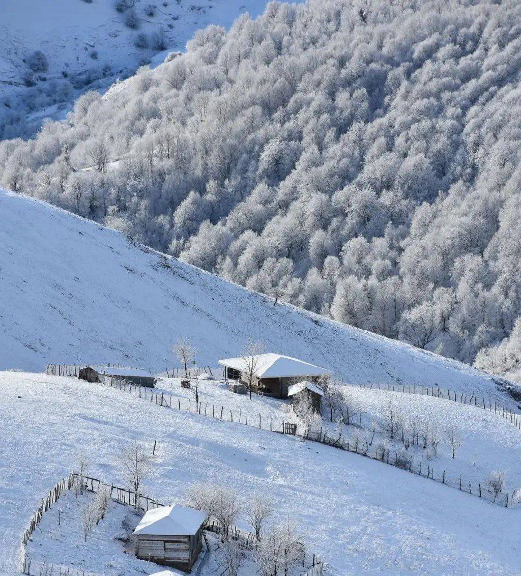 عکس | تصویری زیبا از بارش برف در تالش