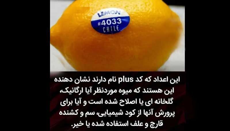 راهی برای خریدن میوه‌های بهتر که از آن خبر نداشتید | کدهای روی میوه‌ها نشانه چیست