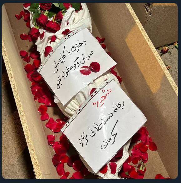 ویدیو | پخش آهنگ برای یک دختر خاص از صدا و سیما