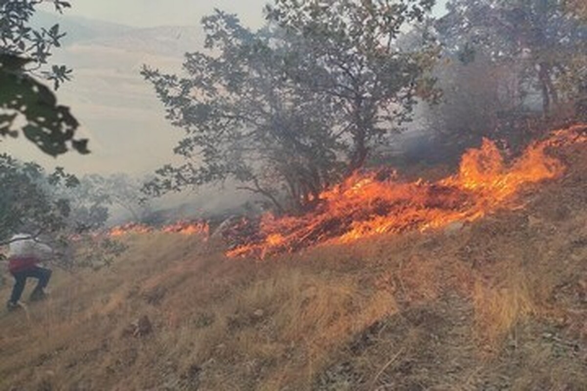 ویدیو | آتش سوزی شدید جنگل‌های عباس‌آباد آستارا | هشدار به روستاییان