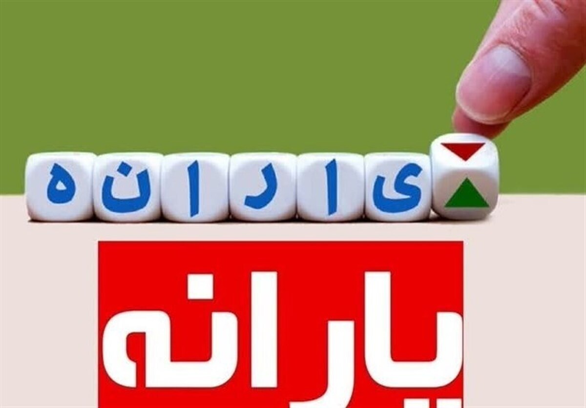 توضیح سخنگوی سازمان هدفمندی یارانه‌ها  درباره حذف یارانه‌های دی ماه