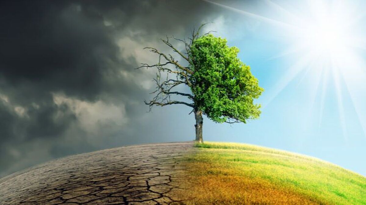 تغییرات آب و هوایی چه تاثیری بر عمر انسان‌ها دارد؟