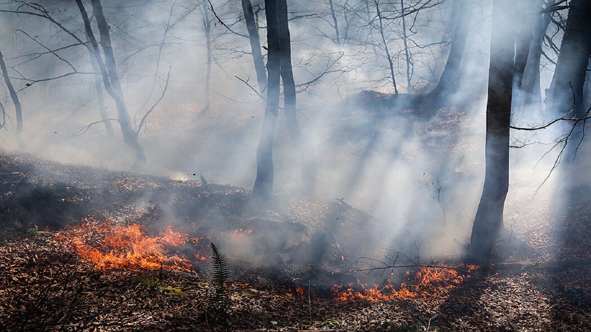 جنگل‌های گیلان در آتش | تلاش‌ها برای اطفاء حریق در اراضی جنگلی رودبار
