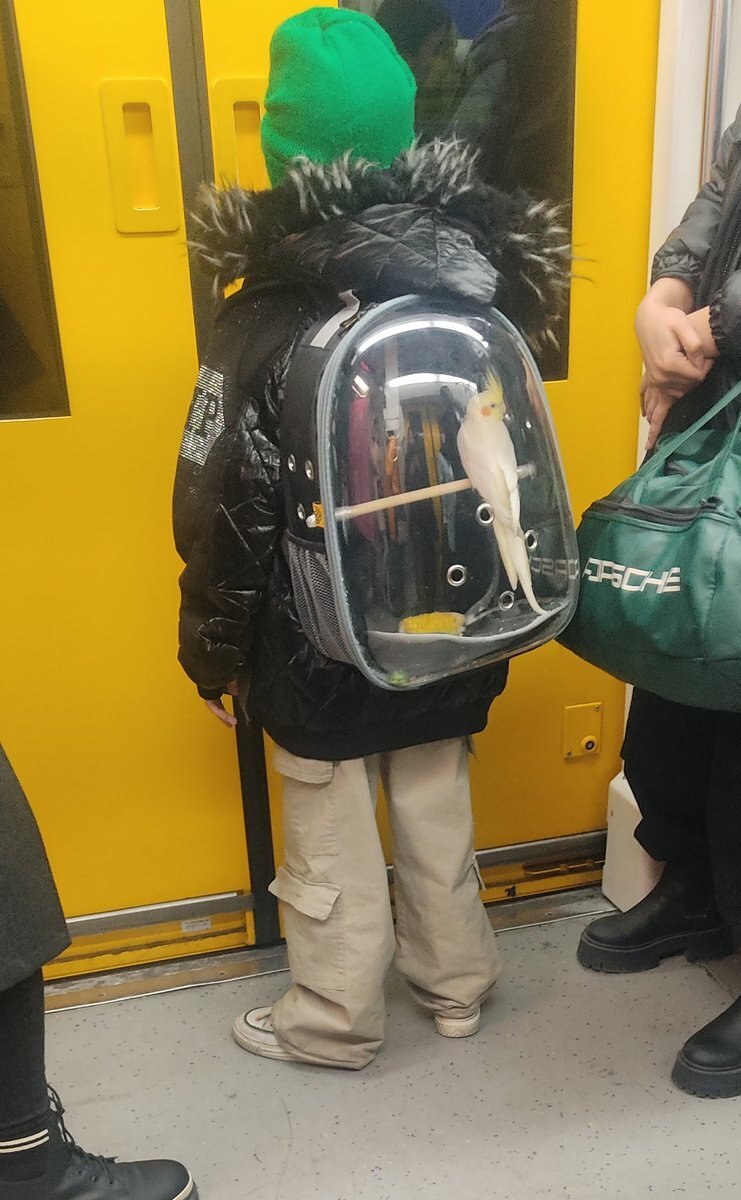 عکس | این پسربچه مترو تهران را بهم ریخت عکس | این پسربچه مترو تهران را بهم ریخت