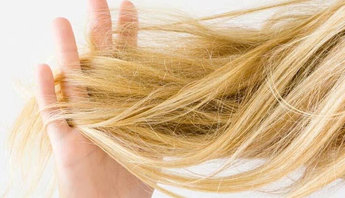 با این روش‌های ساده با موی خشک خداحافظی کنید