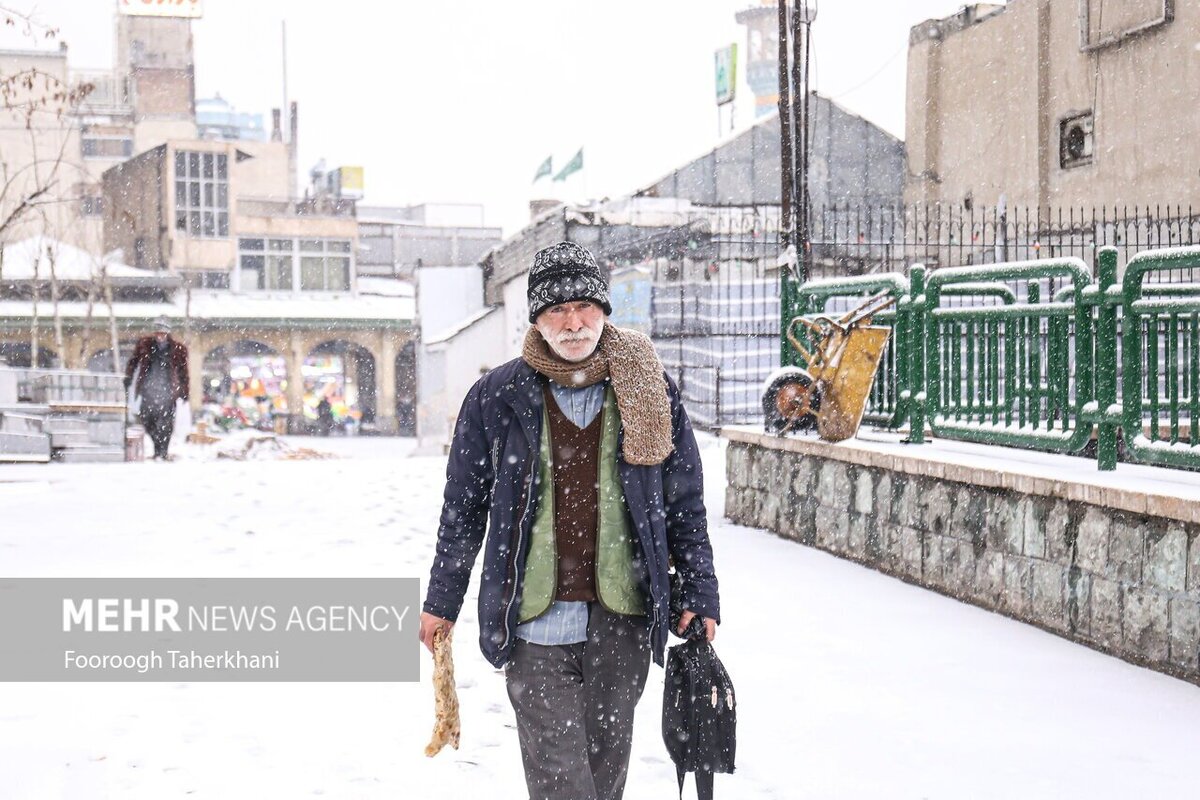 تصاویر: اولین برف تهران